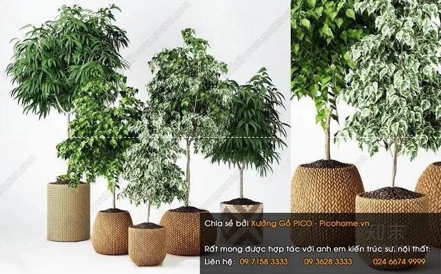 3DSKYFREE – FLOWER - PLANT 3DS MAX MODELS