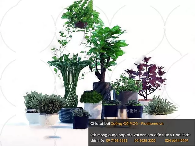 3DSKYFREE – FLOWER - PLANT 3DS MAX MODELS