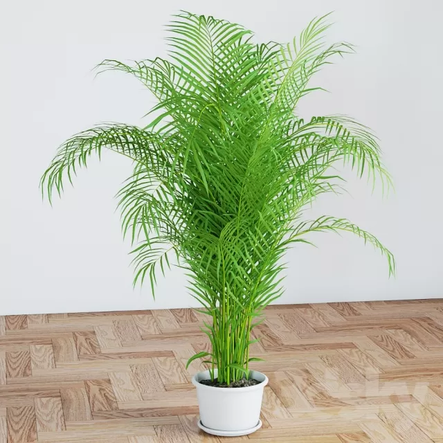FLOWER - PLANT 3D MODELS