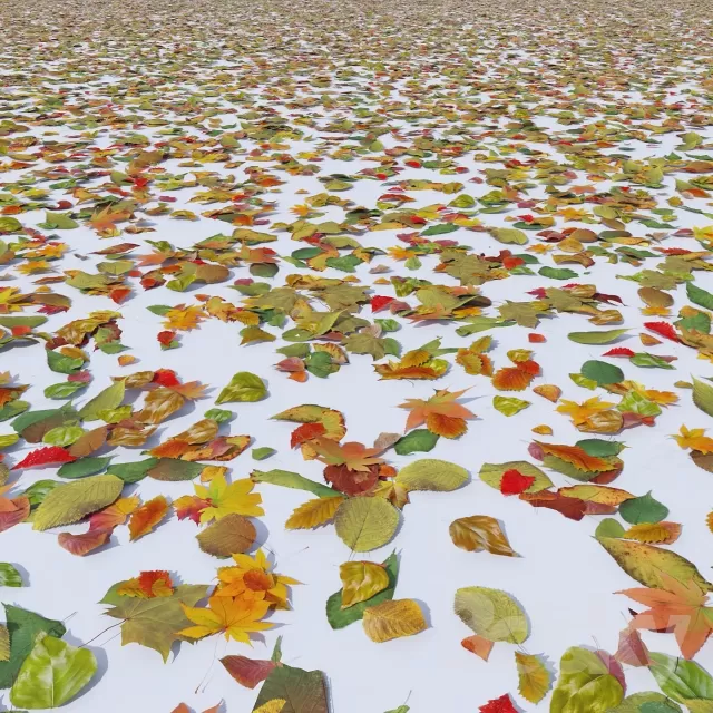 FLOWER - PLANT 3D MODELS