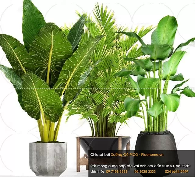 3DSKYFREE – FLOWER - PLANT 3DS MAX MODELS