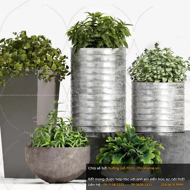 3DSKYFREE – FLOWER - PLANT 3DS MAX MODELS