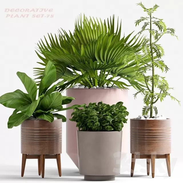 FLOWER - PLANT 3D MODELS