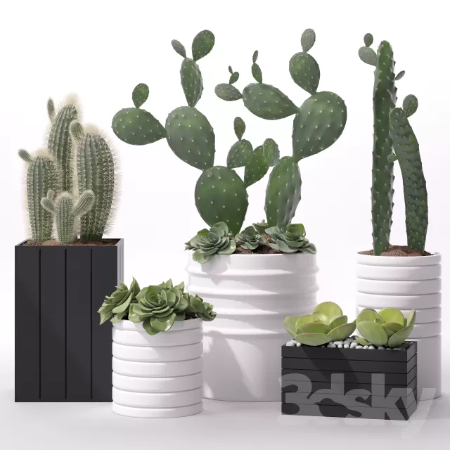 FLOWER - PLANT 3D MODELS