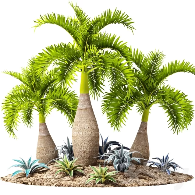 FLOWER - PLANT 3D MODELS