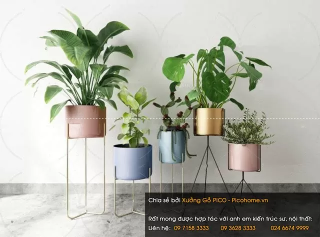 3DSKYFREE – FLOWER - PLANT 3DS MAX MODELS