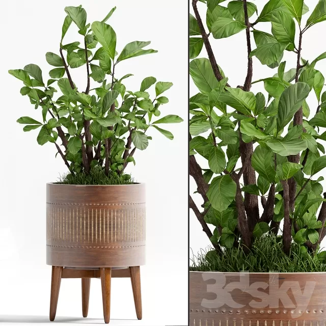 3DSKYFREE – FLOWER - PLANT 3DS MAX MODELS