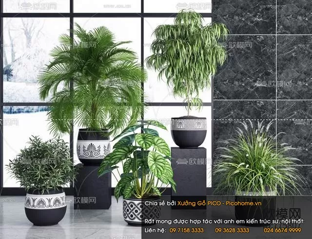 3DSKYFREE – FLOWER - PLANT 3DS MAX MODELS