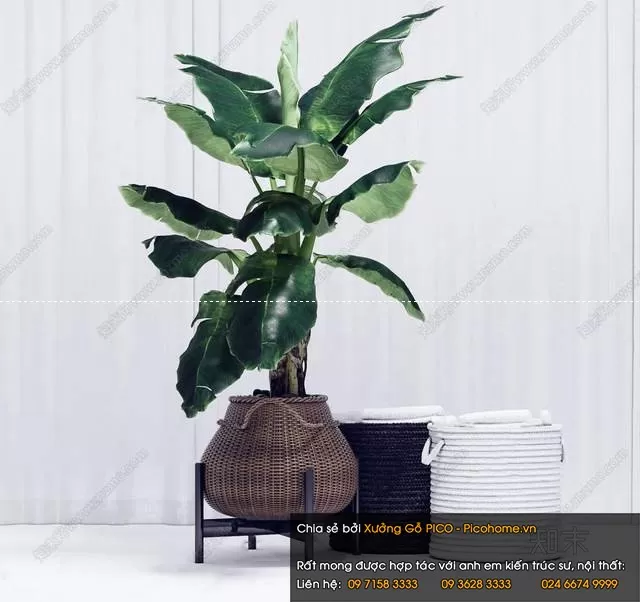 3DSKYFREE – FLOWER - PLANT 3DS MAX MODELS