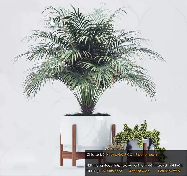 3DSKYFREE – FLOWER - PLANT 3DS MAX MODELS