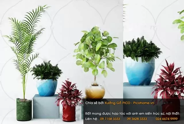 FLOWER - PLANT 3D MODELS