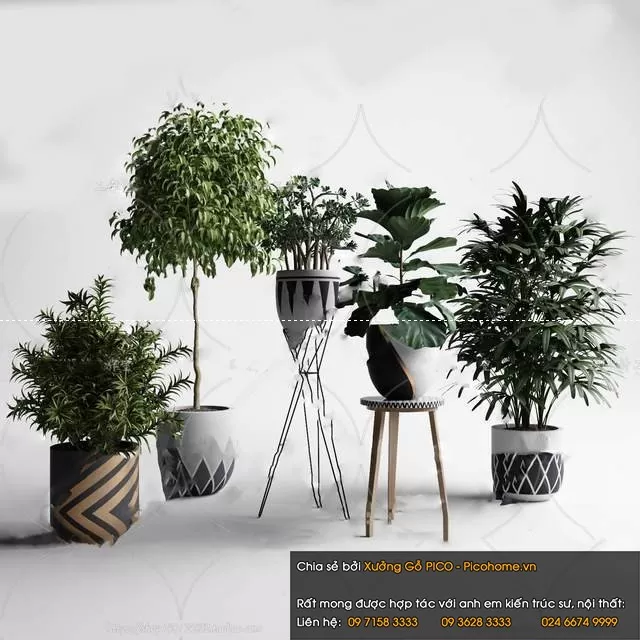 3DSKYFREE – FLOWER - PLANT 3DS MAX MODELS