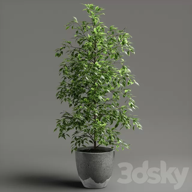 3D MODELS FREE DOWNLOAD 