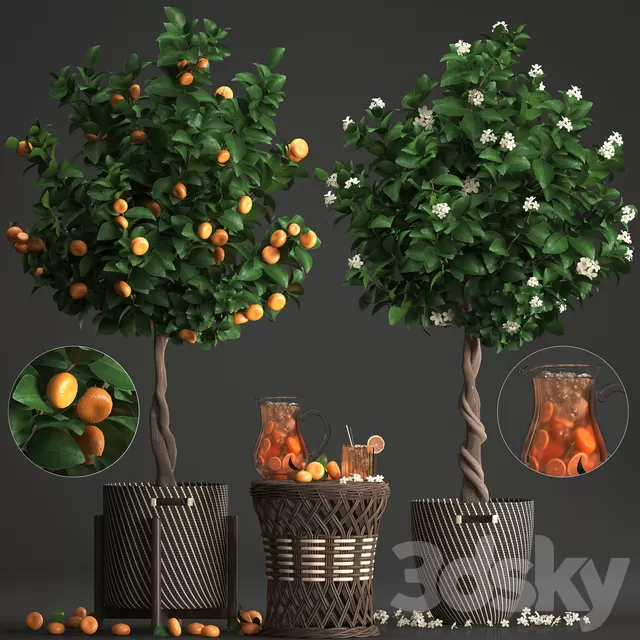 3DSKYFREE – FREE 3DS MAX MODELS
