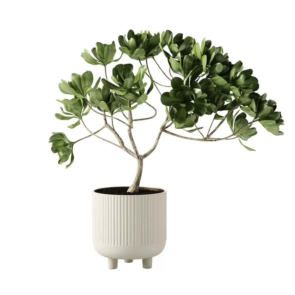 3D MODELS FREE DOWNLOAD 