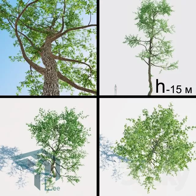 3DSKYFREE – FREE 3DS MAX MODELS