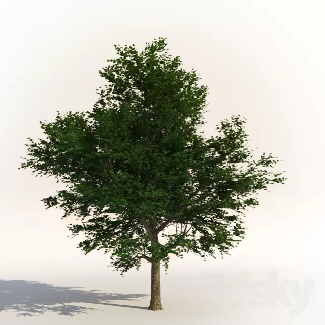 3D MODELS FREE DOWNLOAD 