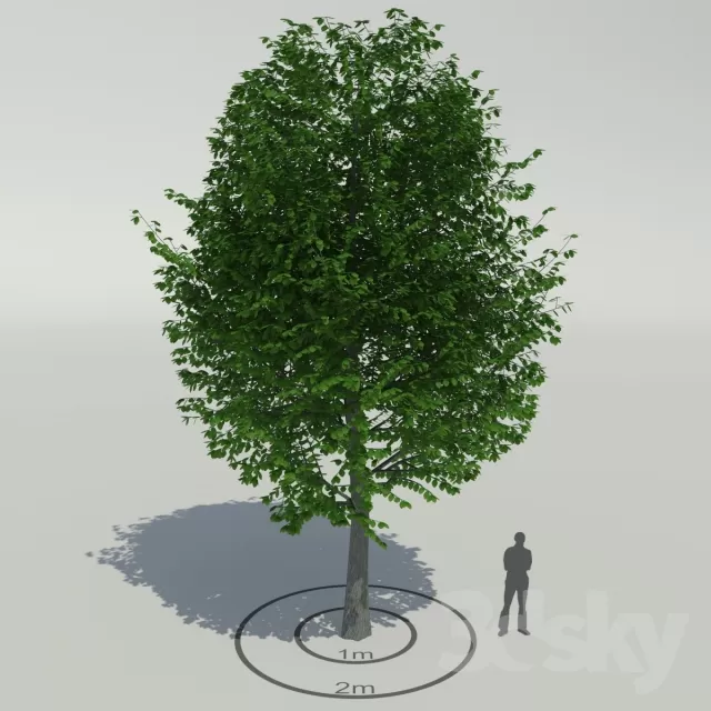 3DSKYFREE – FREE 3DS MAX MODELS