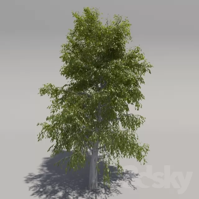 3DSKYFREE – FREE 3DS MAX MODELS