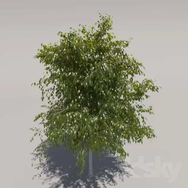 3DSKYFREE – FREE 3DS MAX MODELS