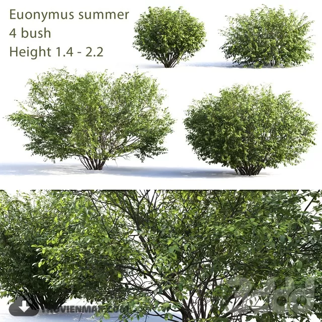 3DSKYFREE – FREE 3DS MAX MODELS