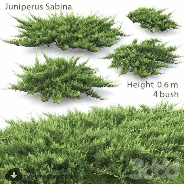 3DSKYFREE – FREE 3DS MAX MODELS