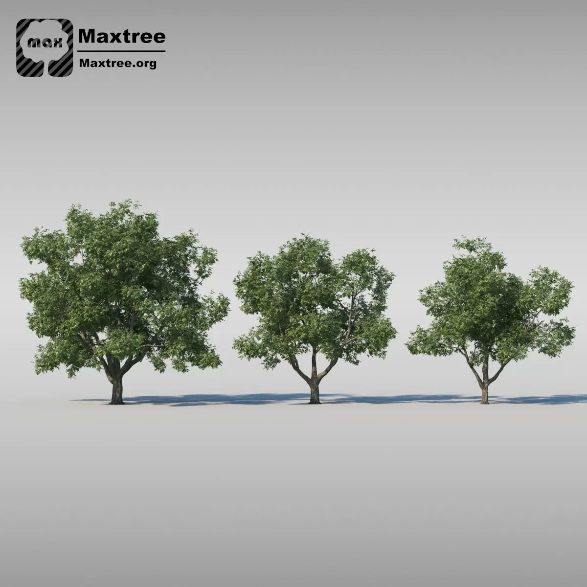 3DSKYFREE – FREE 3DS MAX MODELS