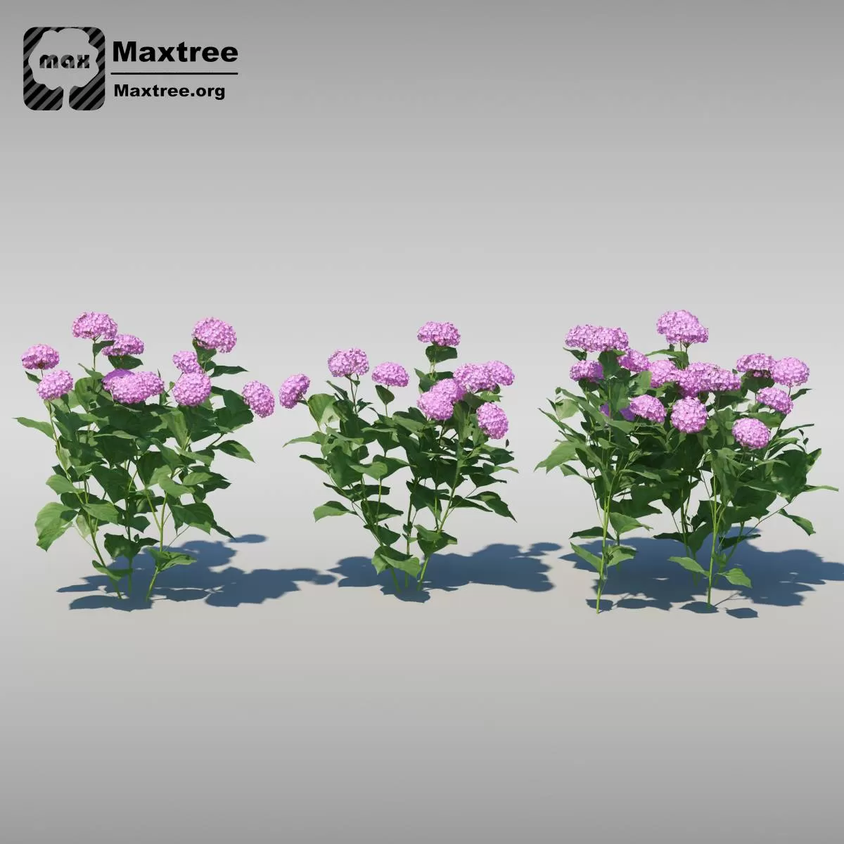 3DSKYFREE – FREE 3DS MAX MODELS