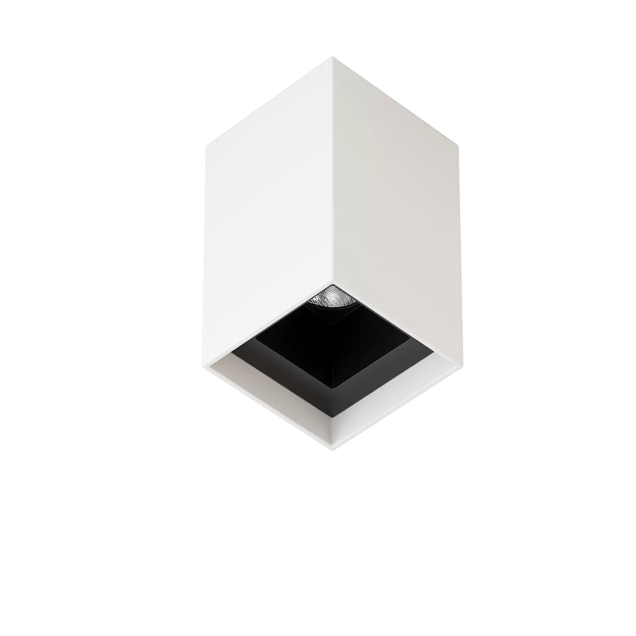 3D MODELS FREE DOWNLOAD 