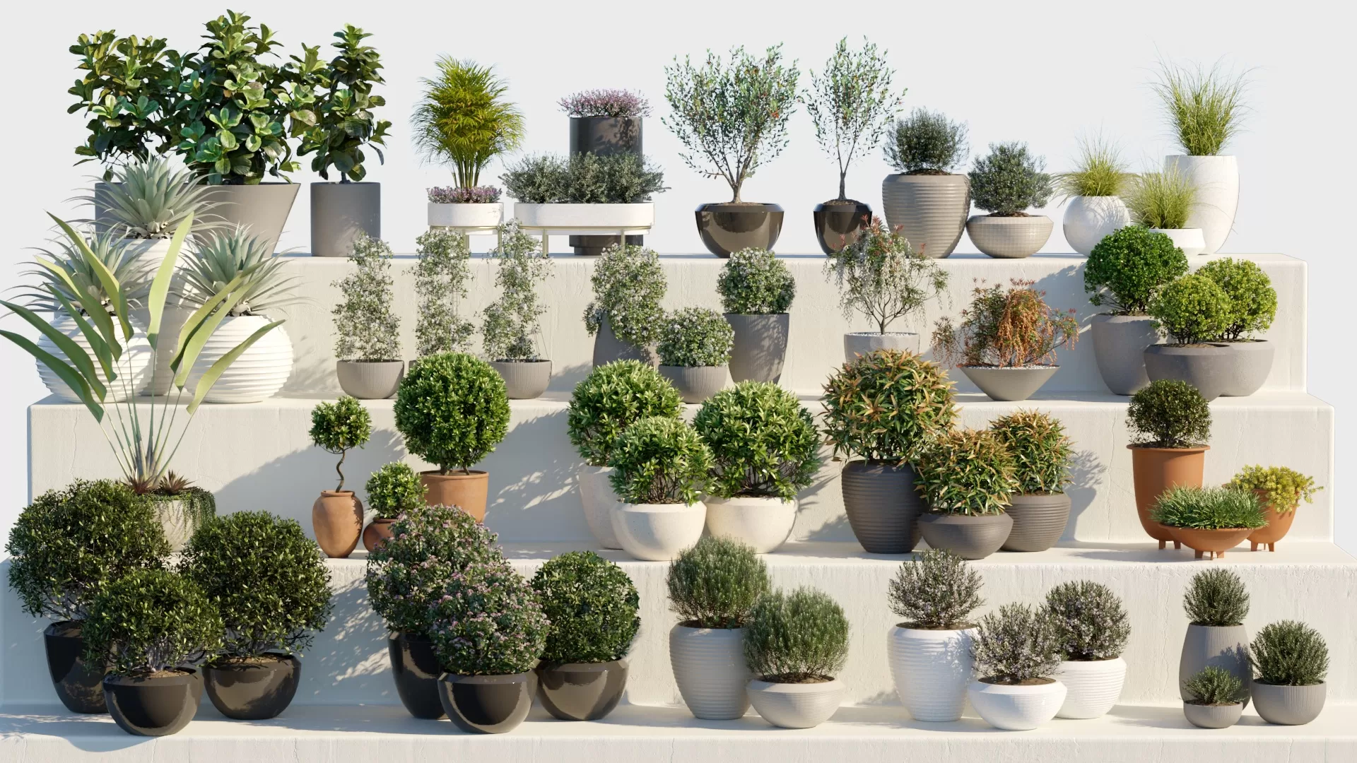 3ds Max Files – Model – 14 – Plant Model – 18 – Plant Models By NguyenHa