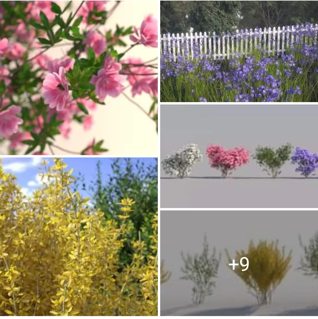 3DSKYFREE – FREE 3DS MAX MODELS