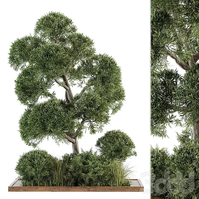 3D MODELS FREE DOWNLOAD 