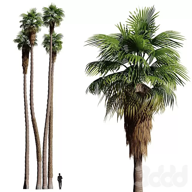 3DSKY MODELS – NEW – 3D MODELS – FREE DOWNLOAD – 700