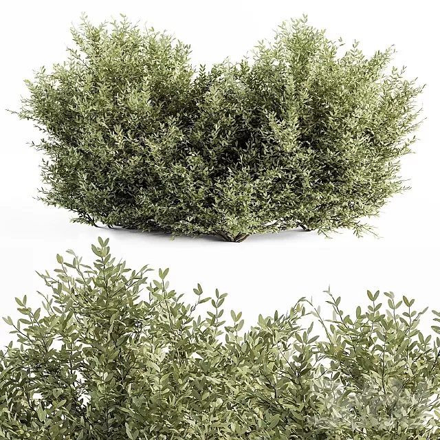 3DSKY MODELS – NEW – 3D MODELS – FREE DOWNLOAD – 710