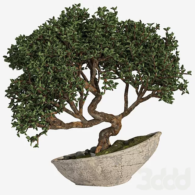 3DSKY MODELS – NEW – 3D MODELS – FREE DOWNLOAD – 729