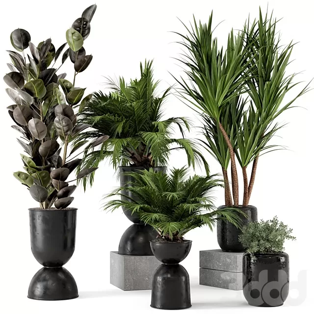 3D MODELS FREE DOWNLOAD 