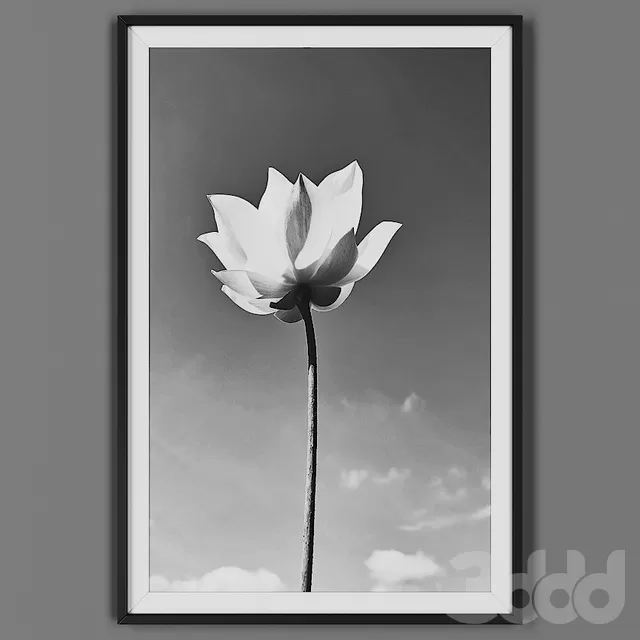 DECORATION – FRAME – 3D MODELS – FREE DOWNLOAD – 4692