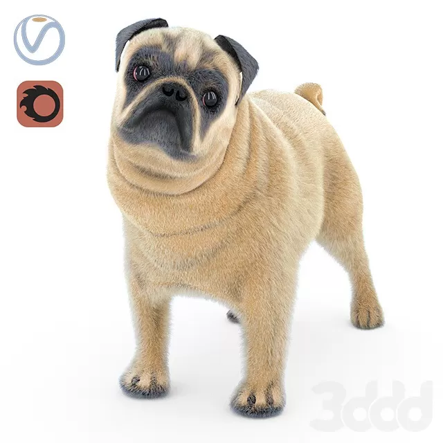 OTHER MODELS – CREATURE – 3D MODELS – FREE DOWNLOAD – 15170