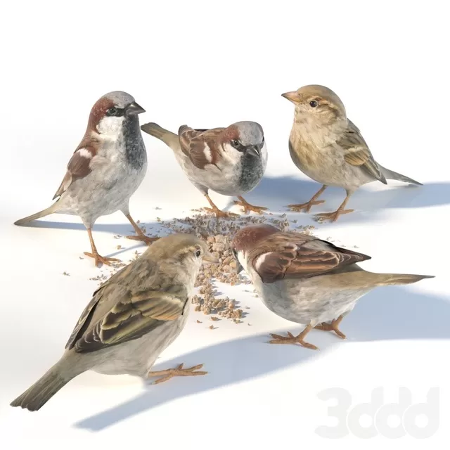 3D MODELS FREE DOWNLOAD 