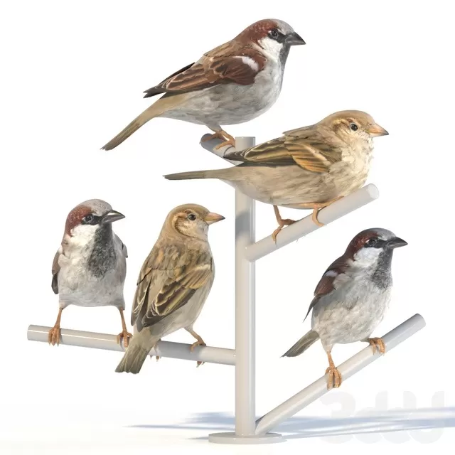 3D MODELS FREE DOWNLOAD 