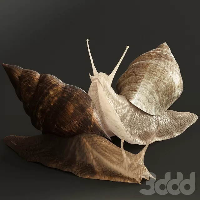 OTHER MODELS – CREATURE – 3D MODELS – FREE DOWNLOAD – 15181