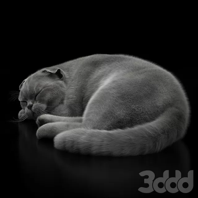 3DSKYFREE – FREE 3DS MAX MODELS