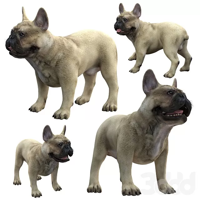 OTHER MODELS – CREATURE – 3D MODELS – FREE DOWNLOAD – 15204