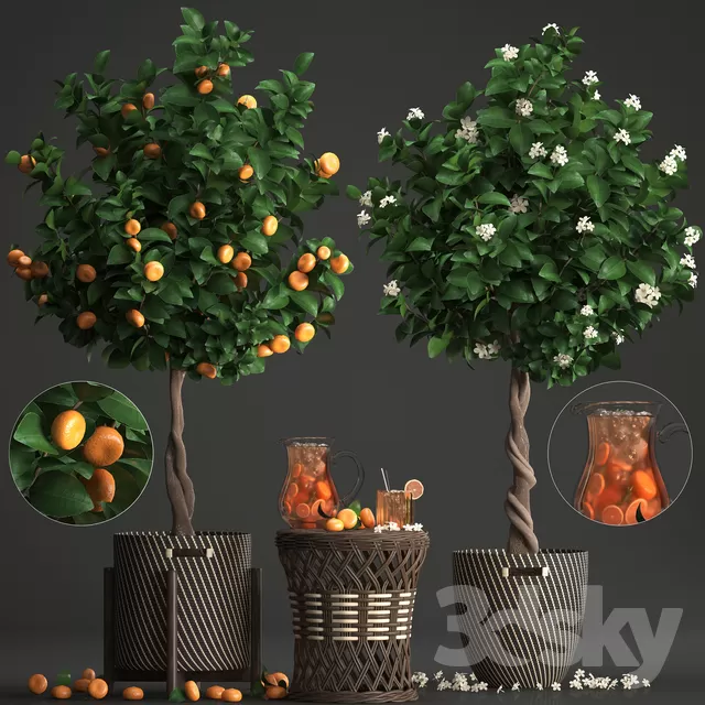 3DSKYFREE – FREE 3DS MAX MODELS