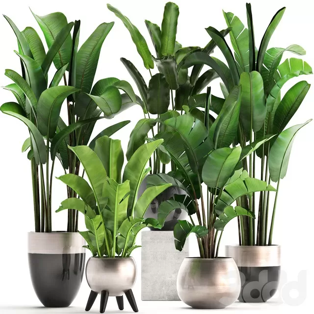 3D MODELS FREE DOWNLOAD 