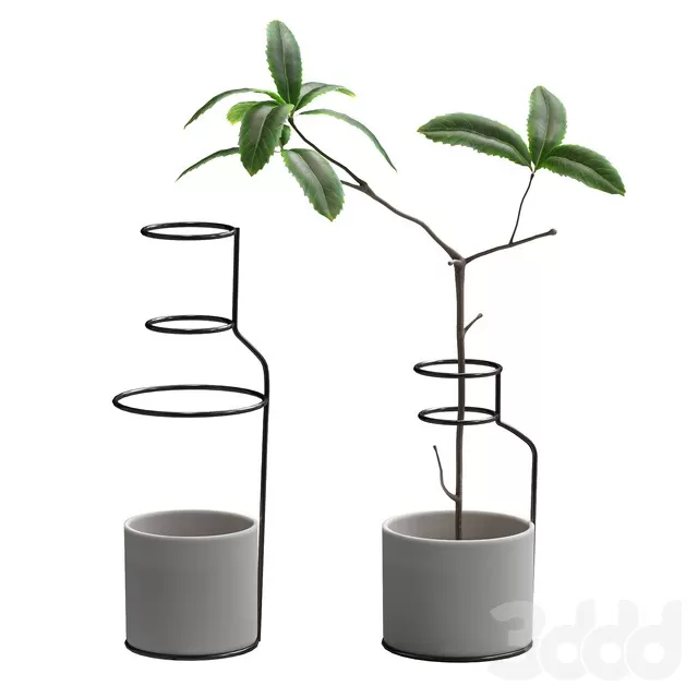 PLANTS – INDOOR – 3D MODELS – FREE DOWNLOAD – 16730