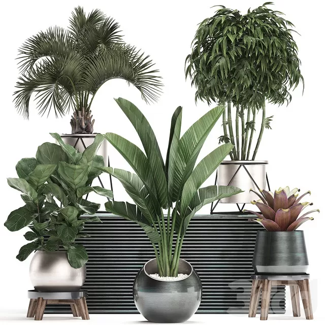 3D MODELS FREE DOWNLOAD 