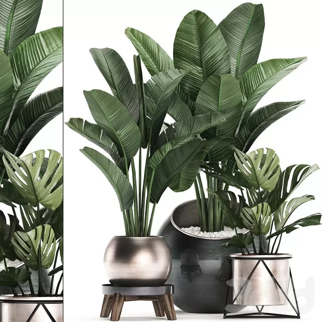 3D MODELS FREE DOWNLOAD 