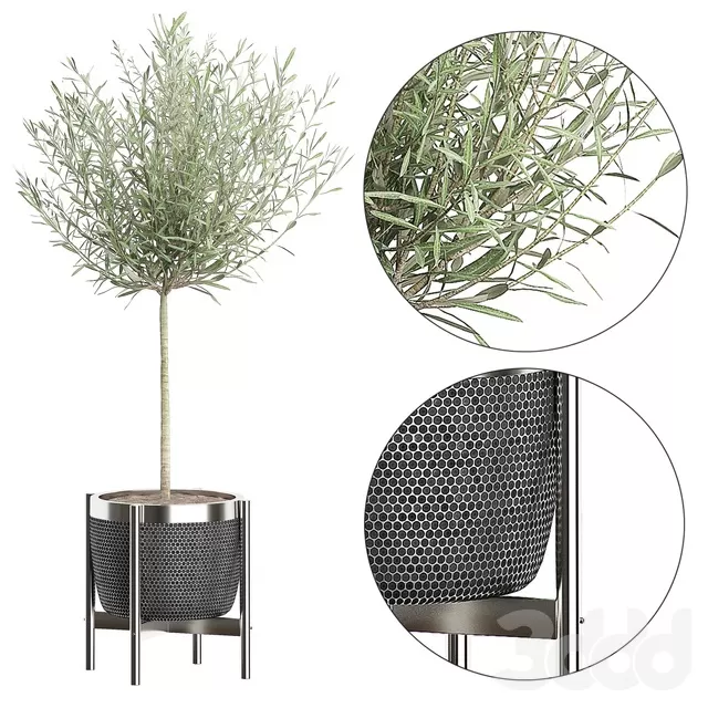 3DSKYFREE – FREE 3DS MAX MODELS