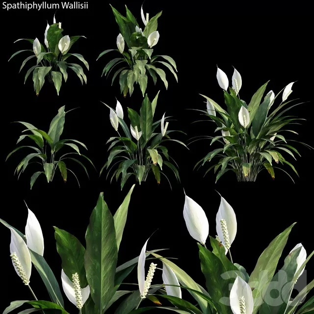 3DSKYFREE – FREE 3DS MAX MODELS